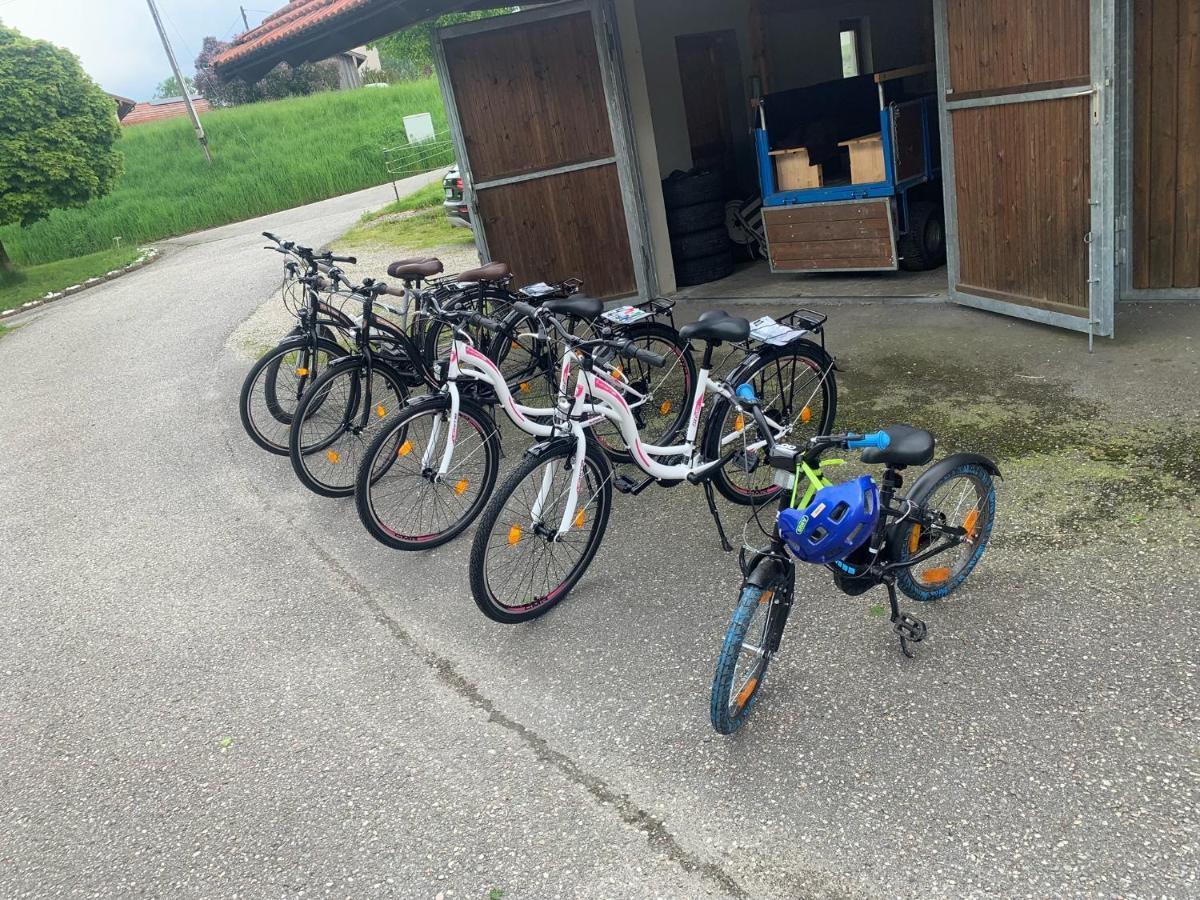 Ferienwohnung Am Ponyhof 알토팅 외부 사진
